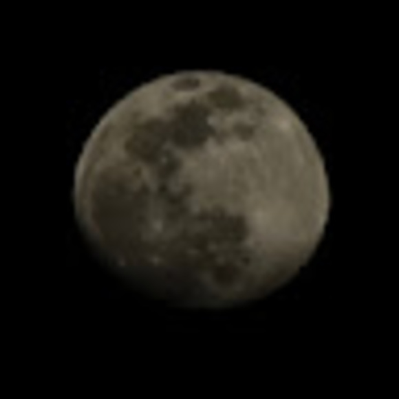 Meet your Posher, Maria - Picture 1 of 1